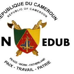 Ministry of Basic Education avatar