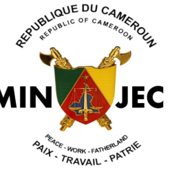 Ministry of Youth Affairs avatar